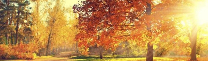 Dopoludnie na InfoVojne s Adrianom 14.10.2025