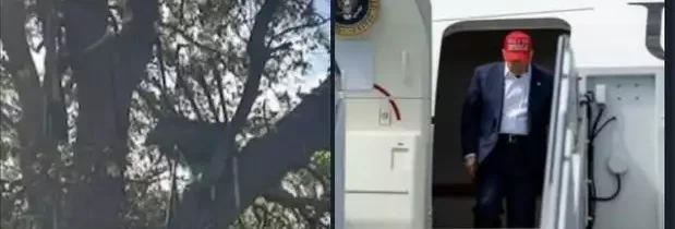 Oproti Trumpovmu nástupisku do lietadla objavili ostreľovačské hniezdo