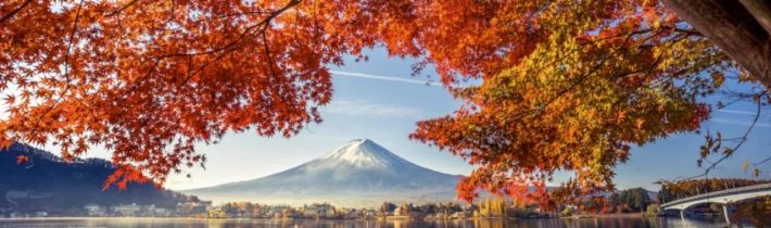 Dopoludnie na InfoVojne s Adrianom 29.10.2025