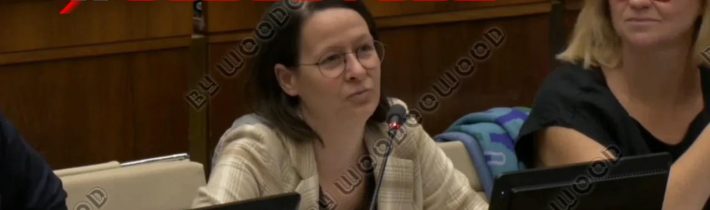 Budú mať poslanci 5 hodinovú obednú prestávku v parlamente? Navrhuje progresívna Števulová 😁