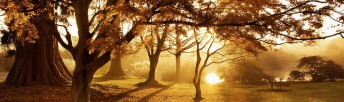 Dopoludnie na InfoVojne s Adrianom 20.10.2025