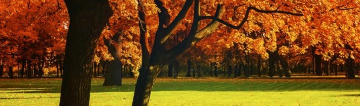 Dopoludnie na InfoVojne s Adrianom 1.10.2025