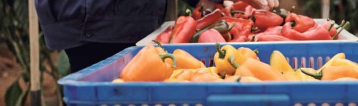 Když se práce nevyplatí – Konzervativní noviny