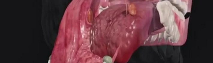 Učitelka biologie vede hodinu ve VR. Jednoduše, srozumitelně a snadno zapamatovatelně. Ale