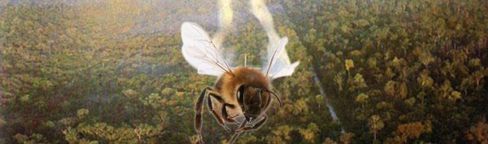 Biologická zbraň, nebo včelí hovínka? – Proč to řešíme? #842