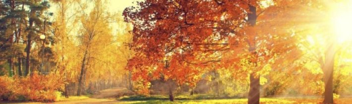 Dopoludnie na InfoVojne s Adrianom 18.11.2025