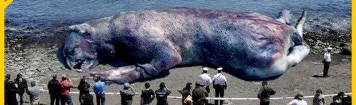 10 Podivných Věcí Nalezených na Pláži