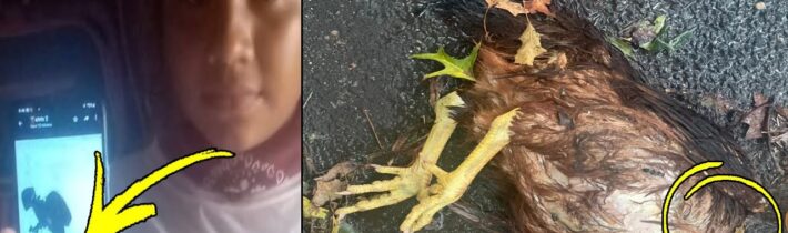 7 záhad spojených s dnešní zvláštní a hroznou dobou