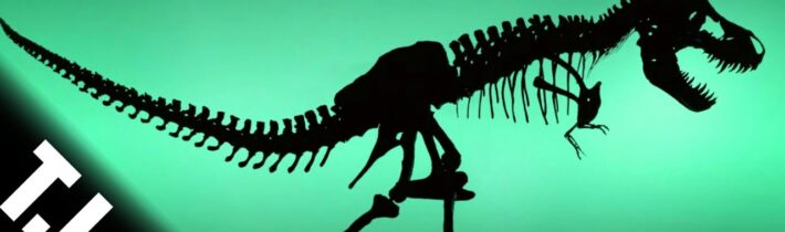 NASA vybrala SpaceX k letu na Měsíc/ Opičkodaktyl s protistojným palcem/ Autonomní letadlo [TIP 248]