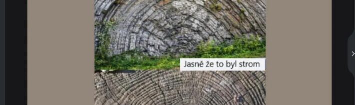 jasne ze to byl strom