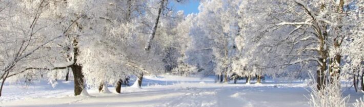 Dopoludnie na InfoVojne s Adrianom 19.1.2026