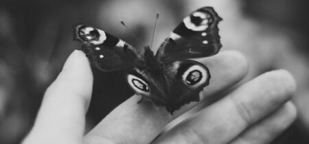 Belobog » OBZRI SA NEZNÁMY CUDZINEC