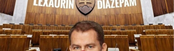 Takto by vyzeral parlament, ak by rokovací poriadok navrhoval Igi.