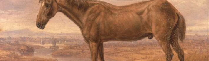 Old Billy (1760-1822) – Kabinet Kuriozit