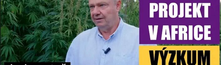 Český projekt v Africe: léčivé účinky člověka i přírody 🌍František Bednařík 🇨🇿 Laboratoř Myšlenek