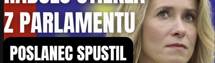 Radšej utiekla z parlamentu. Lavína faktov ju zdrtila #politika #slovensko #fico #smersd