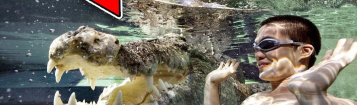 TOP 5 NEJDĚSIVĚJŠÍ BAZÉNY SVĚTA