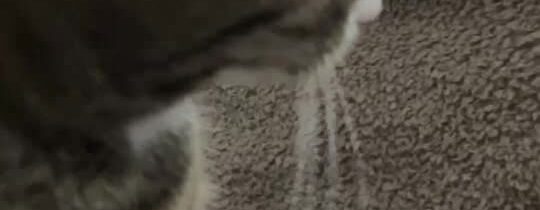 „MAREK ŠOUN komentuje“2026-02-17 09:26:20