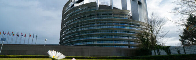 Evropský parlament tvrdí, že muži jsou ženy a že těhotným může být kdokoli – Konzervativní noviny