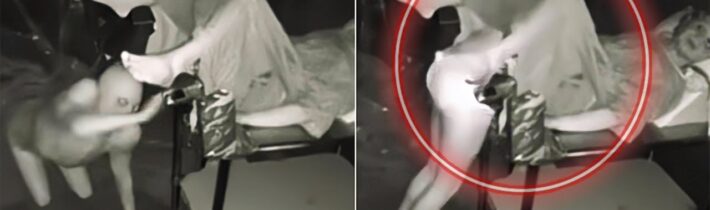 Kdyby tyto bytosti nebyly natočeny, nikdo by nevěřil jejich existenci