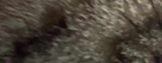 „MAREK ŠOUN komentuje“2026-03-04 07:09:30