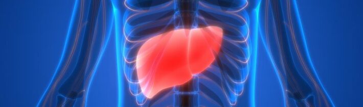 Cukr, ne alkohol, pohání epidemii stukovaných jater – tyto potraviny to pomohou zvrátit – INFOKURÝR