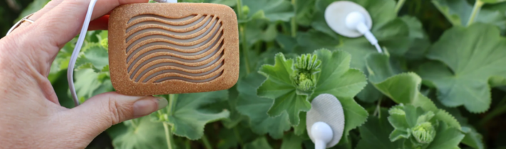 Biologické signály premenené na zvuk