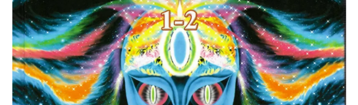 Vplyv emócii na organizmus – OZ Biosféra