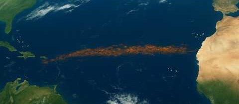 Velký atlantický sargasový pás DUSÍ Karibik