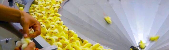 20 Kontroverzních Potravin, Které Musely Být Změněny