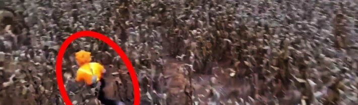 Dron vletěl do zakázaného lesa a zachytil něco, co nikdo neměl vidět!