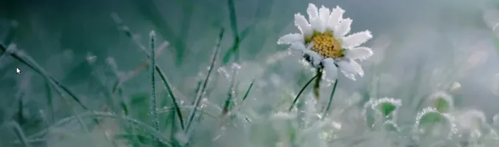 Dopoludnie na InfoVojne s Adrianom 15.4.2026