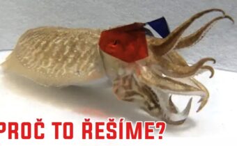 Proč nasadit sépii 3D brýle? – Proč to řešíme? #780