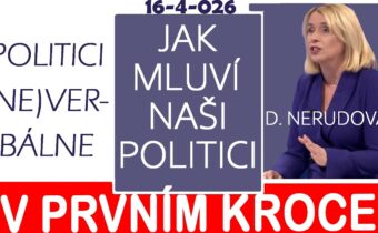 Výrok D. Nerudové z Partie | Jak mluví naši politici | Čeština a politika
