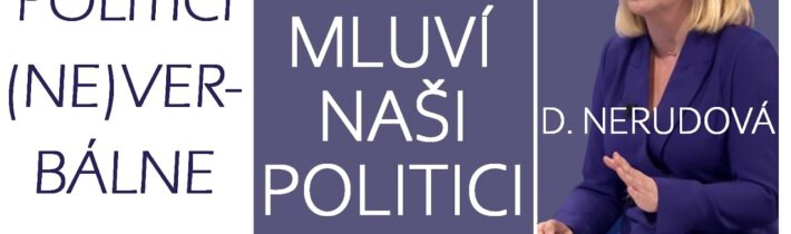 Výrok D. Nerudové z Partie | Jak mluví naši politici | Čeština a politika