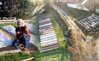 Co právě sklízím a co roste na záhonech – Potravinová soběstačnost v praxi