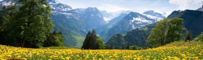 Dopoludnie na InfoVojne s Adrianom 16.4.2026