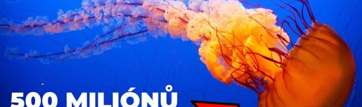 TOP 5 Nejstarší živočichové na Zemi