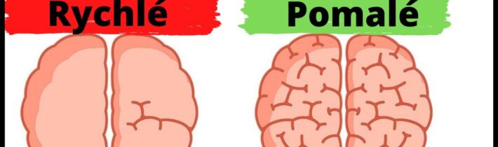 Dil#2.Myšlení rychlé a pomalé – Daniel Kahneman