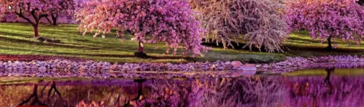 Dopoludnie na InfoVojne s Adrianom 21.4.2026