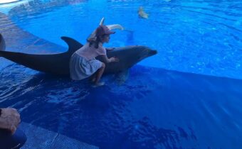 První setkání s delfínem…