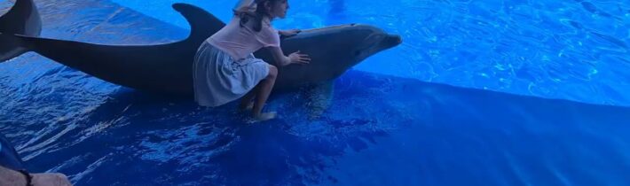 První setkání s delfínem…