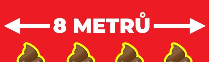 TOP 5 Jaké bylo nejdelší lidské hovínko na světě a další zajímavosti