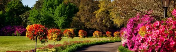 Dopoludnie na InfoVojne s Adrianom 22.4.2026