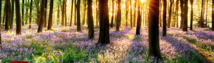 Dopoludnie na InfoVojne s Adrianom 23.4.2026