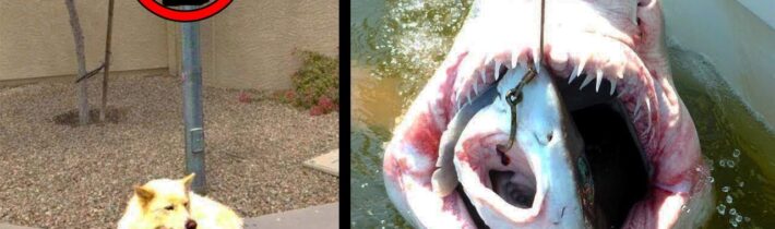 TOP 5 Největší nemožné náhody, které se kdy staly