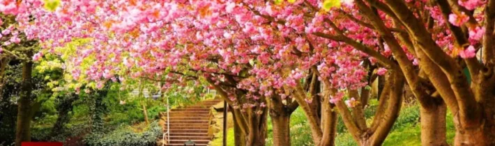 Dopoludnie na InfoVojne s Adrianom 28.4.2026