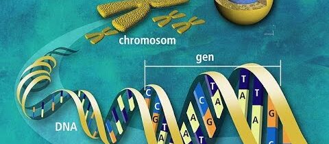 Emanuel Žďárský, Radka Pourová – Testování DNA (v.2) (Sisyfos 15.4.2015)