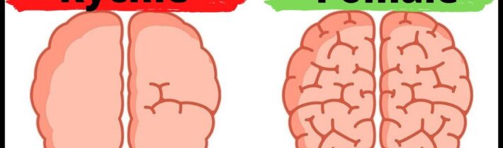 Dil#1 – Myšlení, rychlé a pomalé -Daniel Kahneman