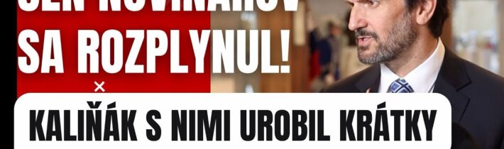 Sen nivinárov sa rozplynul! Kaliňák s nimi urobil krátky proces #politika #slovensko #fico #smersd